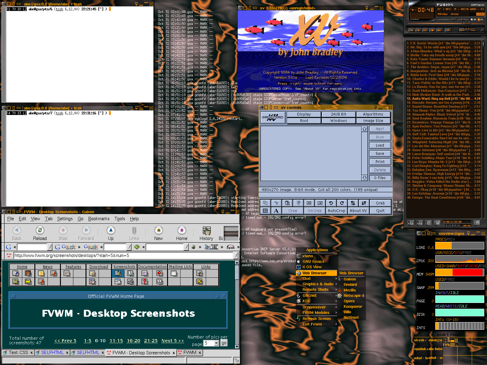 desktop-abe-1600x1200-fvwm-2.5.png